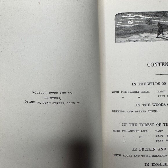 Half Hours in Woods and Wilds 1883 HC Wm. Isbister Leather Spine Gift - Picture 9 of 16